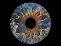 iris source image